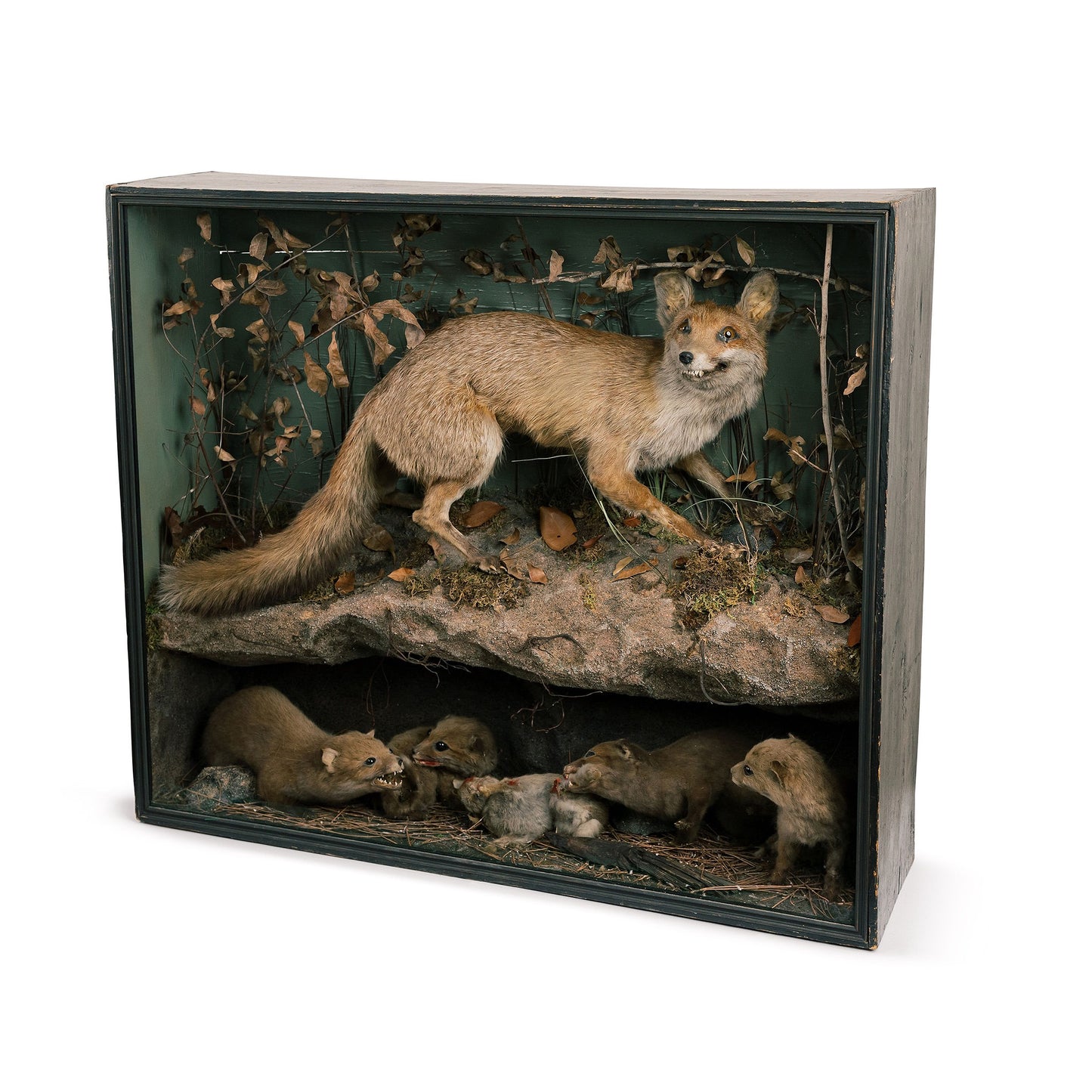 Large Fox Taxidermy Diorama With Babies