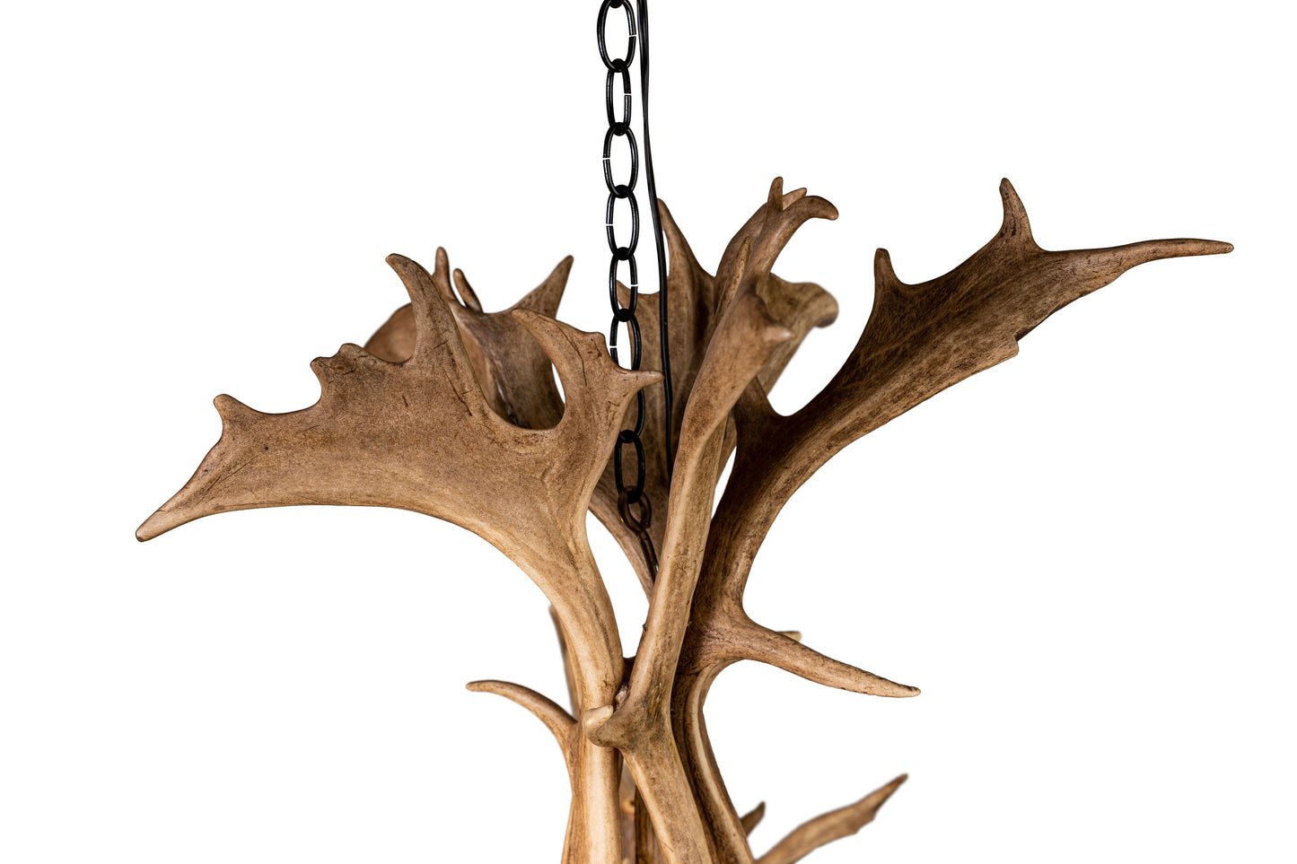 Fallow Deer Chandelier Large Six Light