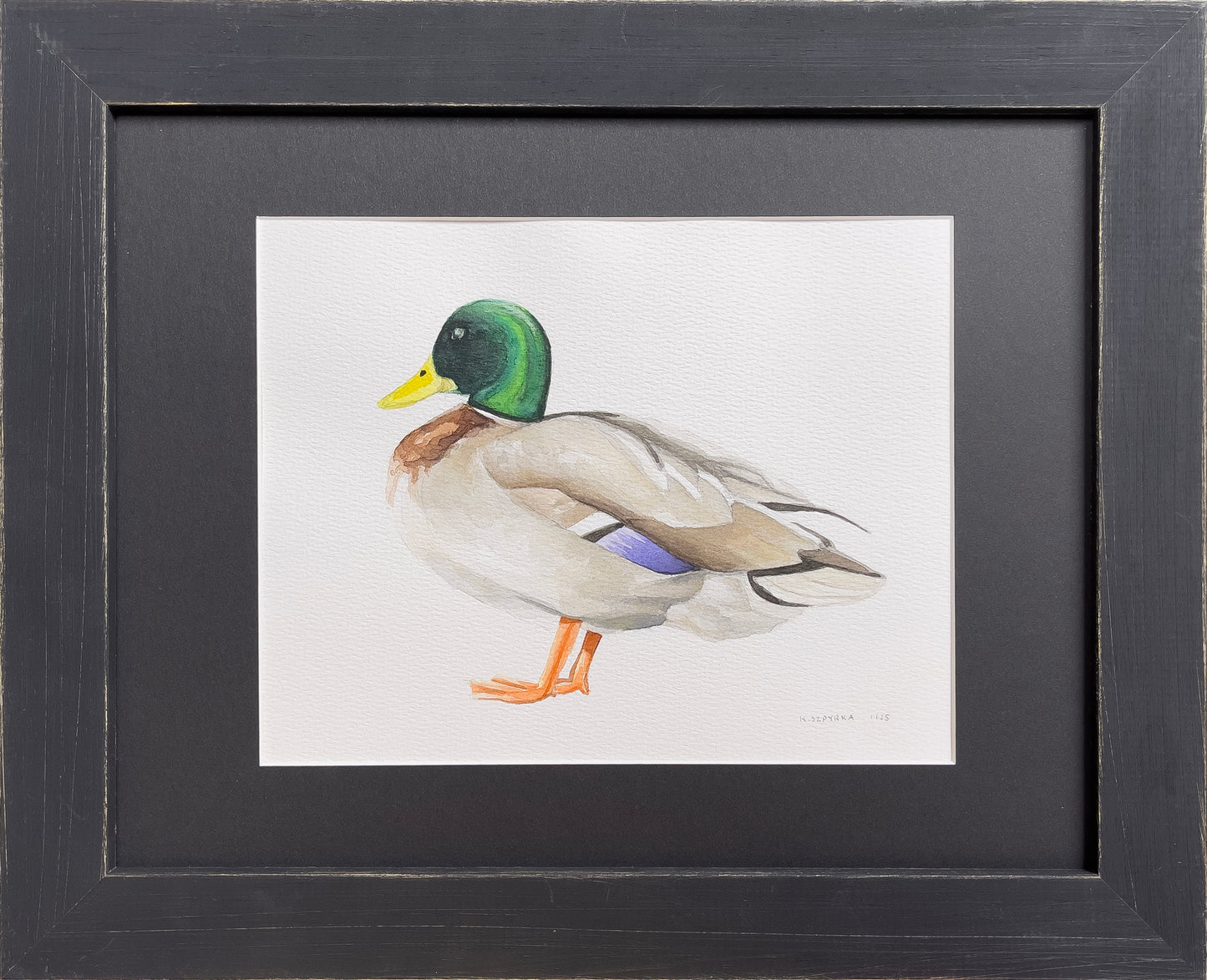 Mallard Duck Large