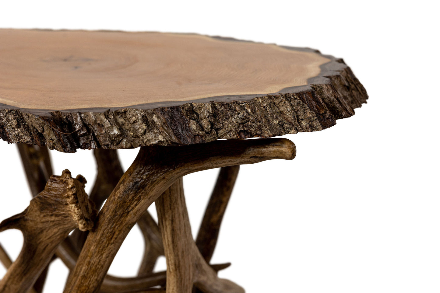 Antler Base Table Butternut Top