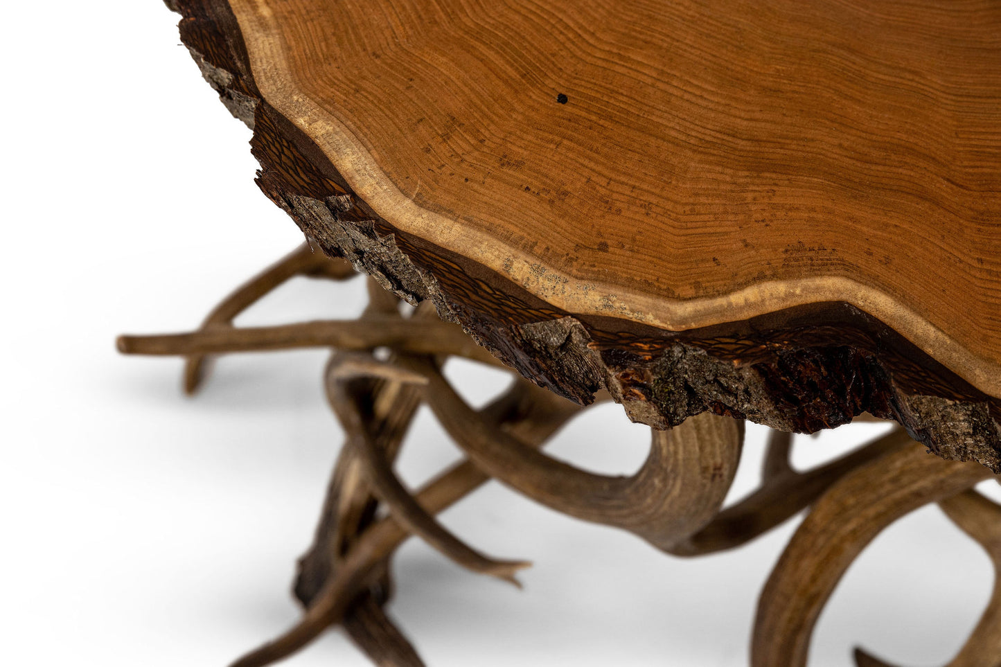 Antler Base Table Butternut Top