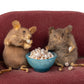 Lounging Mice "Netflix and Popcorn" Taxidermy