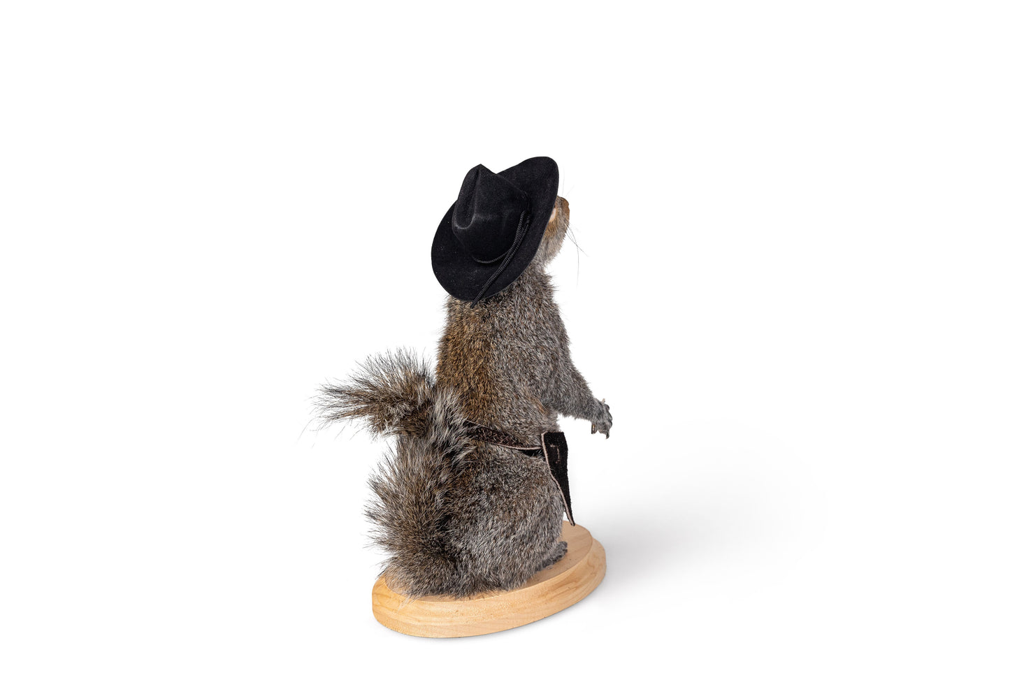 Mount Squirrel Cowboy Taxidermy