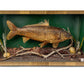 Single Fish Diorama