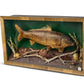 Single Fish Diorama
