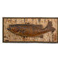 Taxidermy Fish On Birch Bark