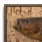 Taxidermy Fish On Birch Bark