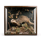 Taxidermy Diorama - Single Badger