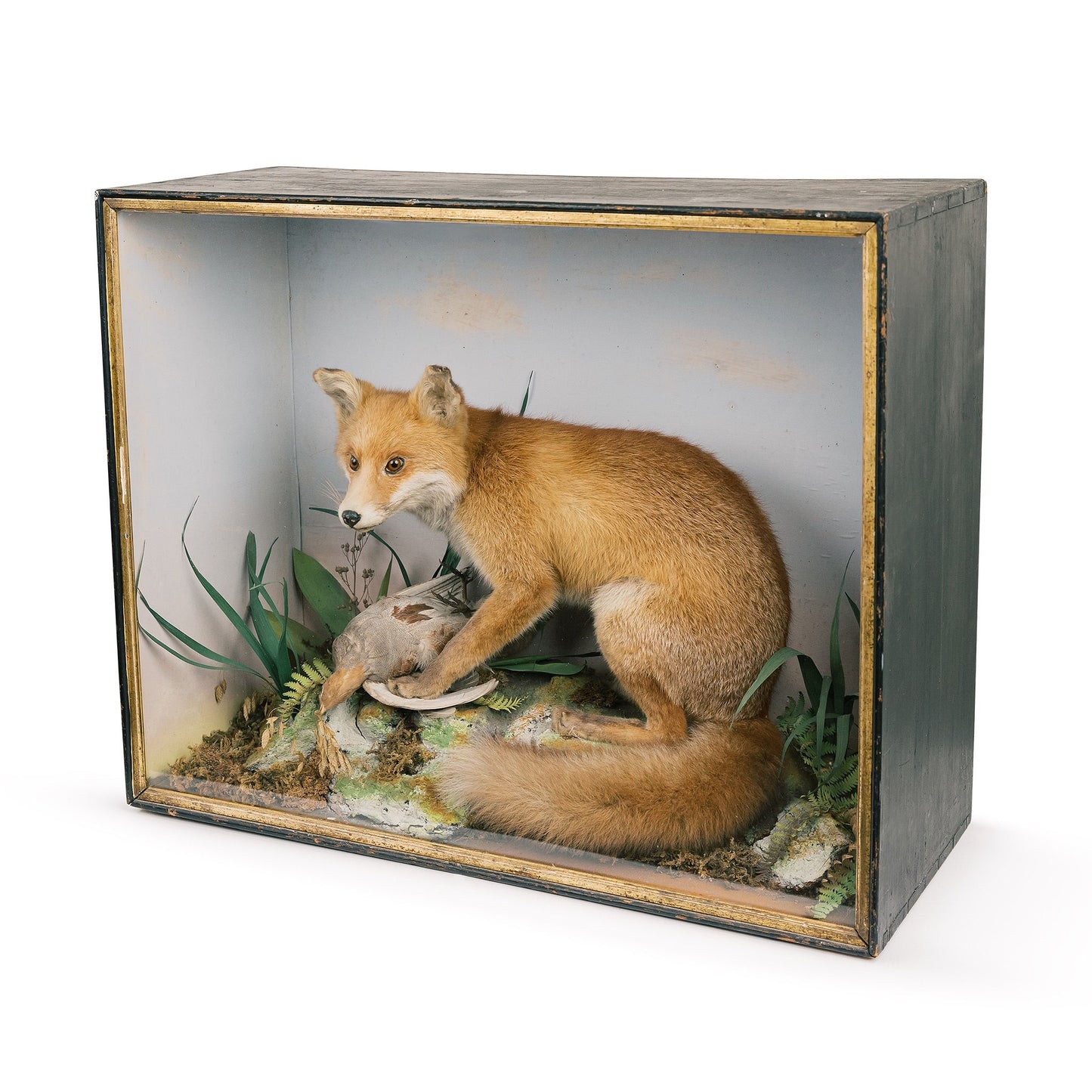 Fox And Bird Diorama Taxidermy