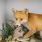 Fox And Bird Diorama Taxidermy