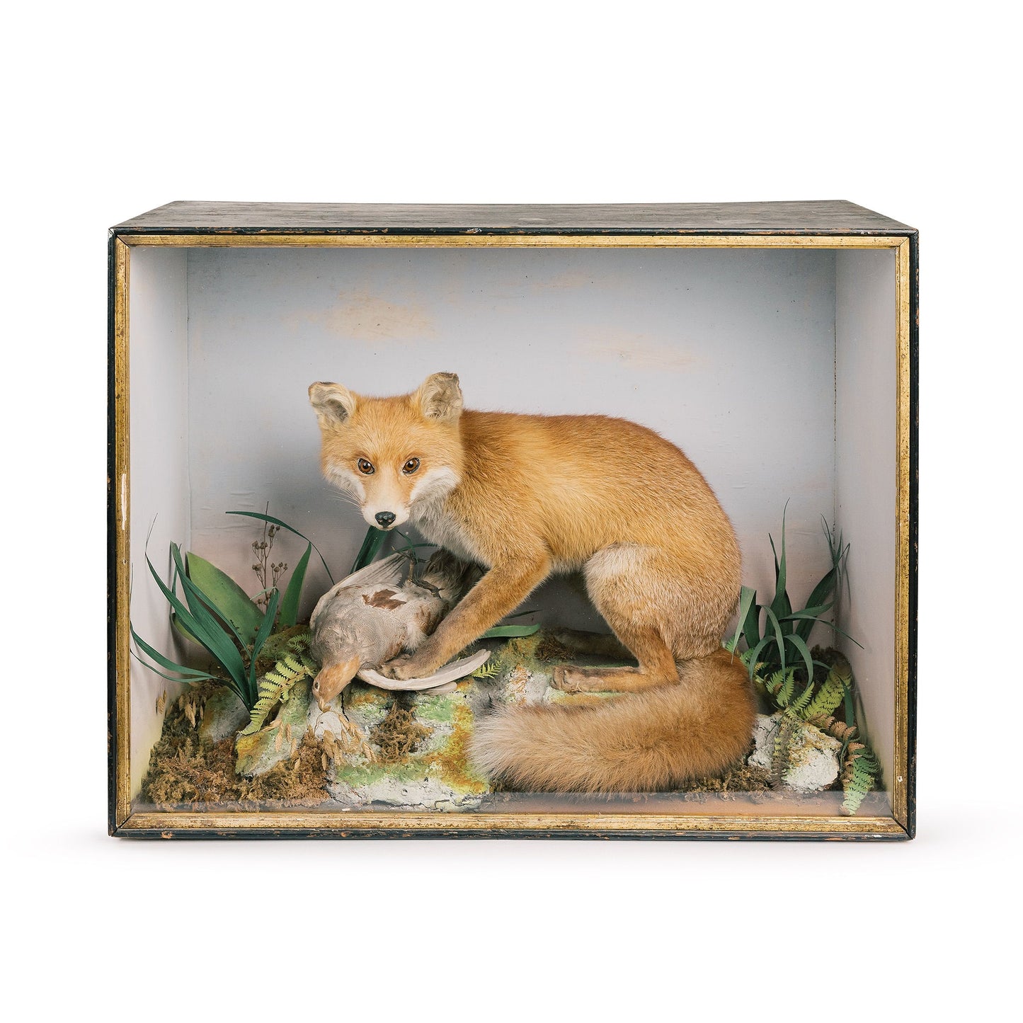 Fox And Bird Diorama Taxidermy