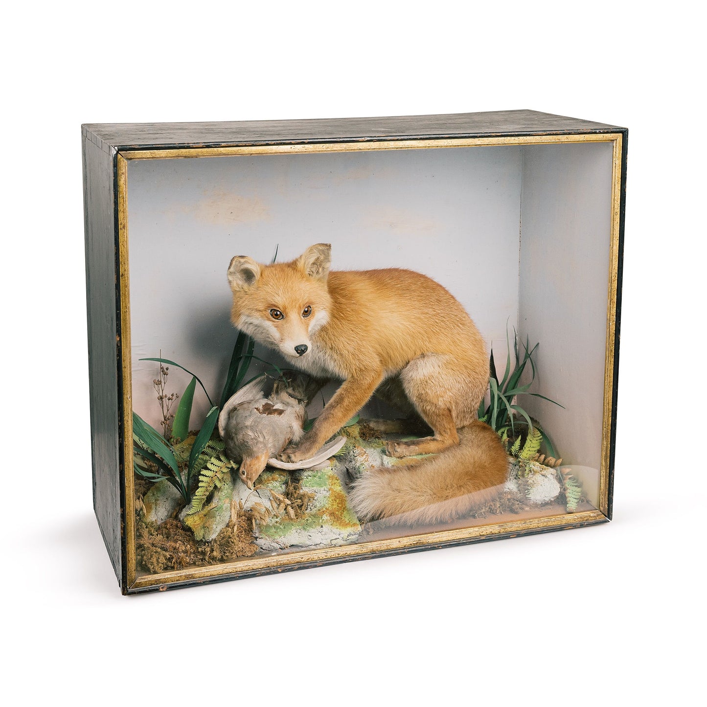 Fox And Bird Diorama Taxidermy