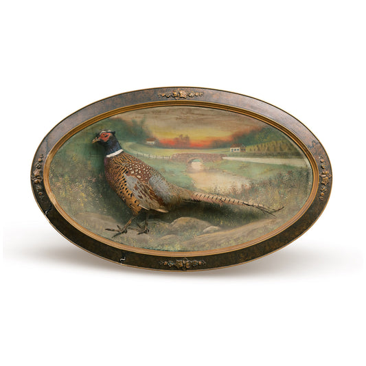 WM Kane Pheasant Taxidermy Diorama