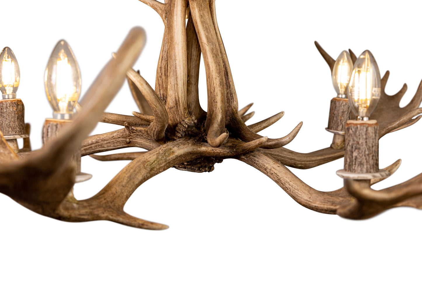 Fallow Deer Chandelier Large Six Light
