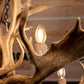 Fallow Deer Chandelier Large Six Light