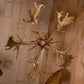 Fallow Deer Chandelier Large Six Light