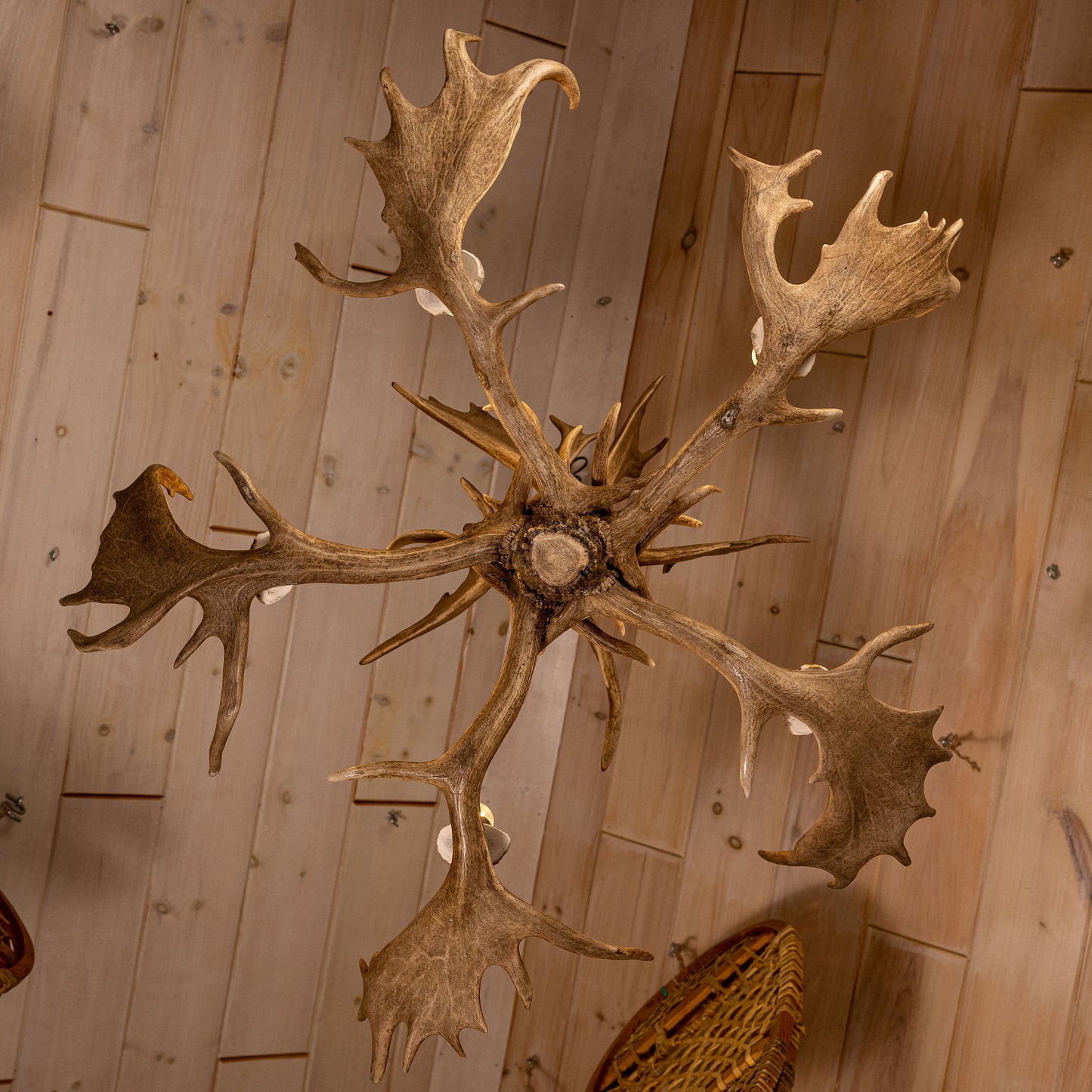 Fallow Deer Chandelier Large Six Light