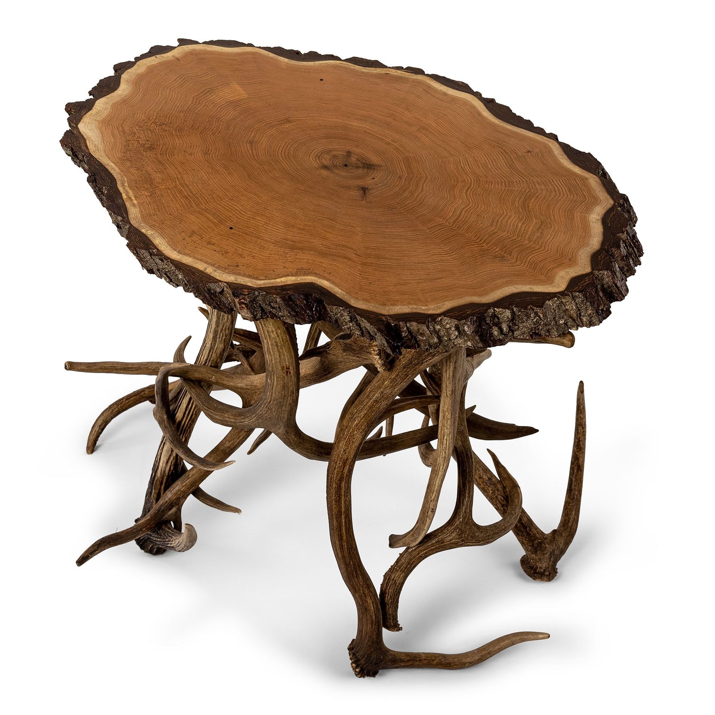 Antler Base Table Butternut Top