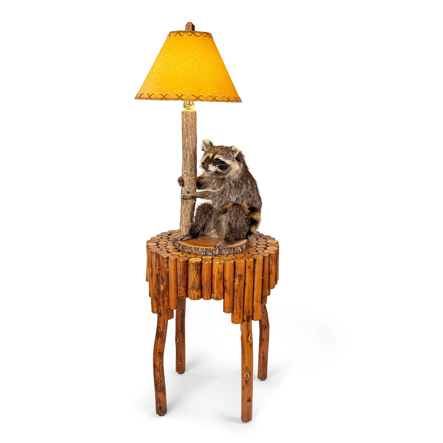 Raccoon Lamp Taxidermy