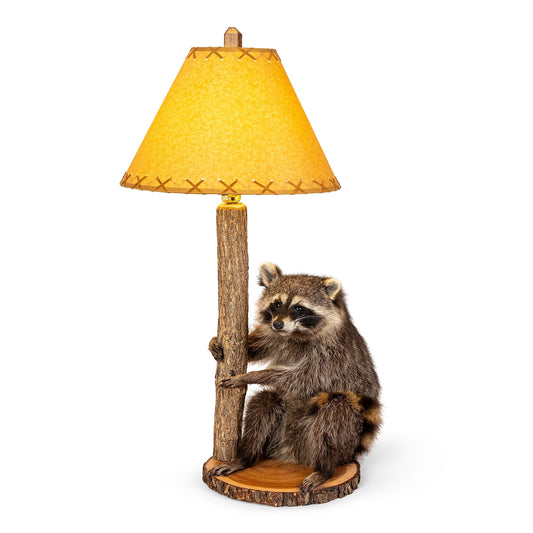 Raccoon Lamp Taxidermy