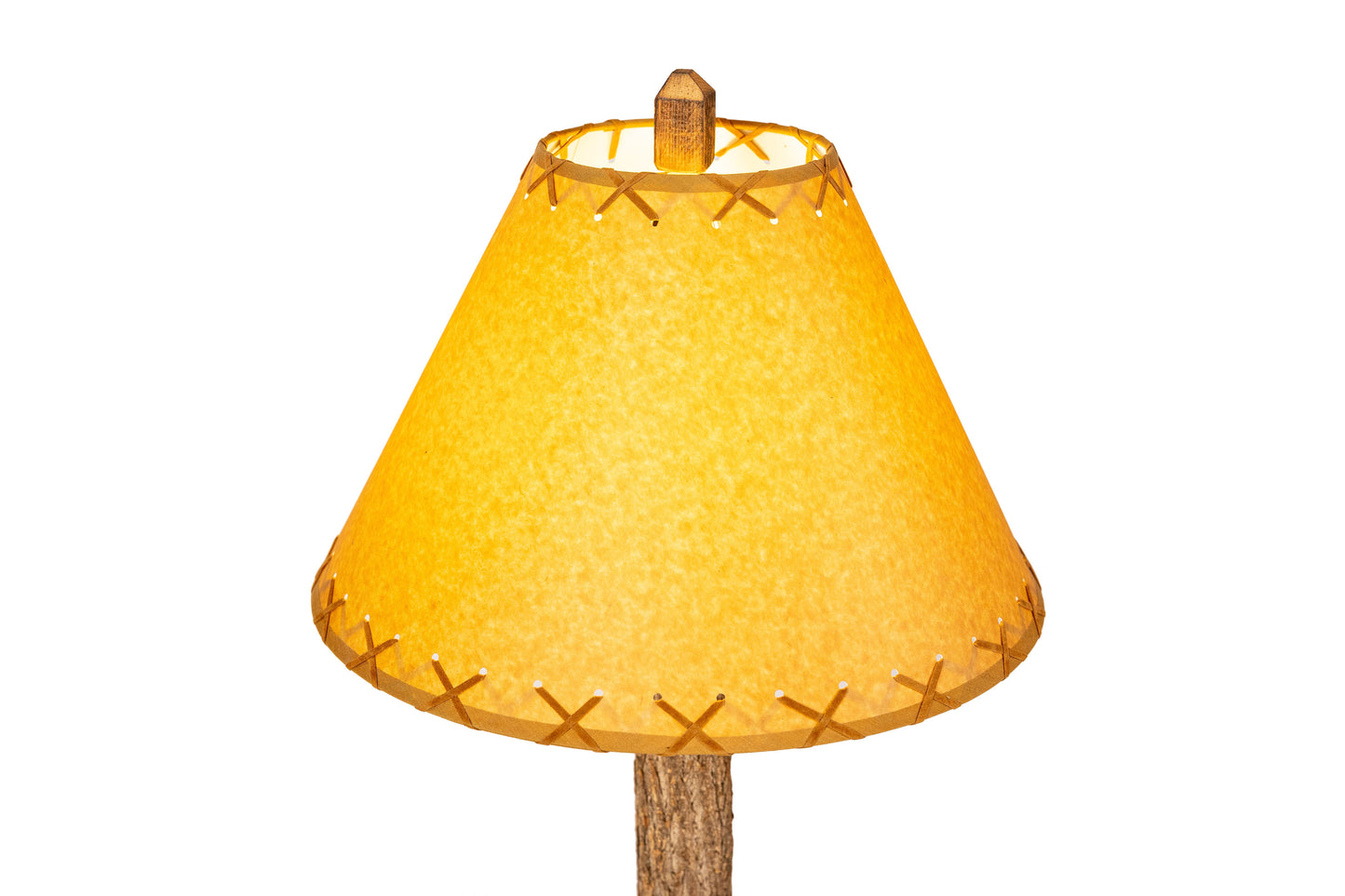 Raccoon Lamp Taxidermy